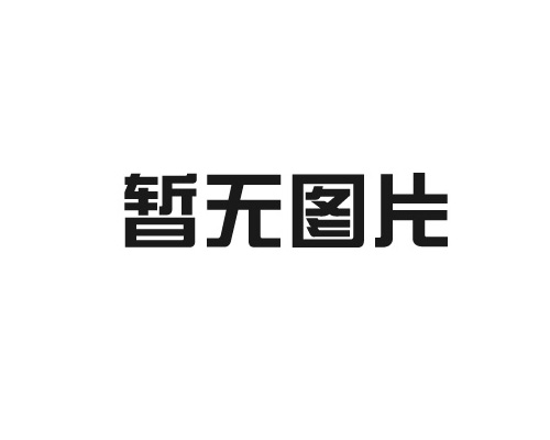 为什么选择电子地磅？